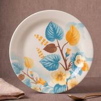 Tarf Double Glaze Melamine Plates